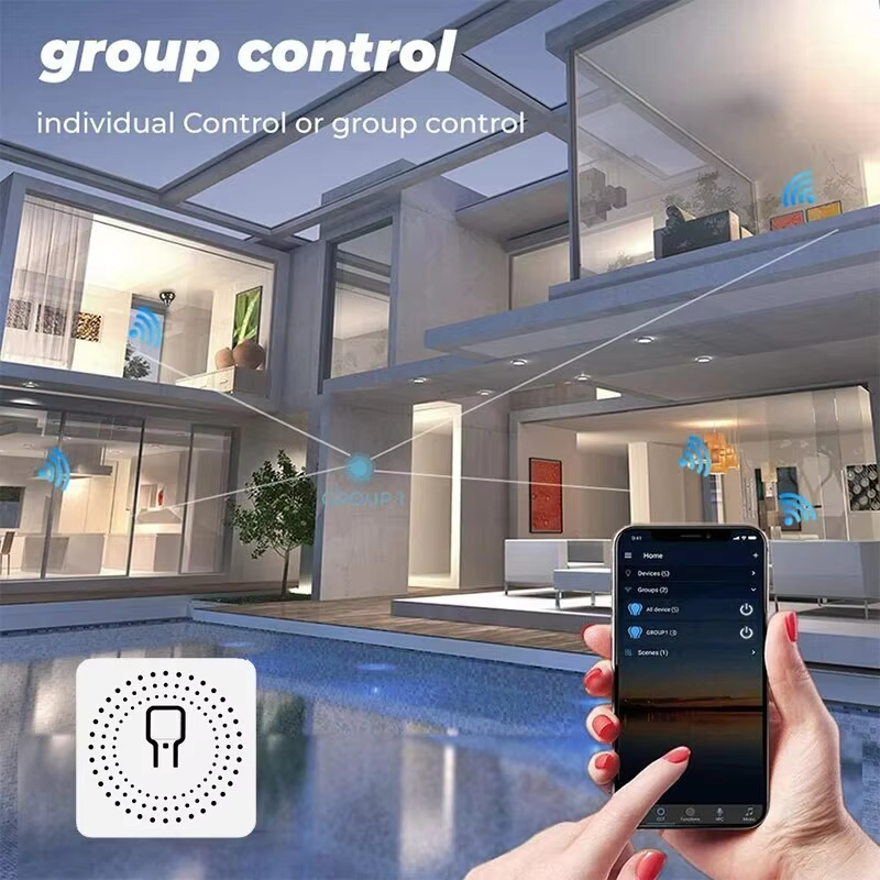 Mini Interruptor WiFi de 16A,  - Smart Home Simple reseña y precio