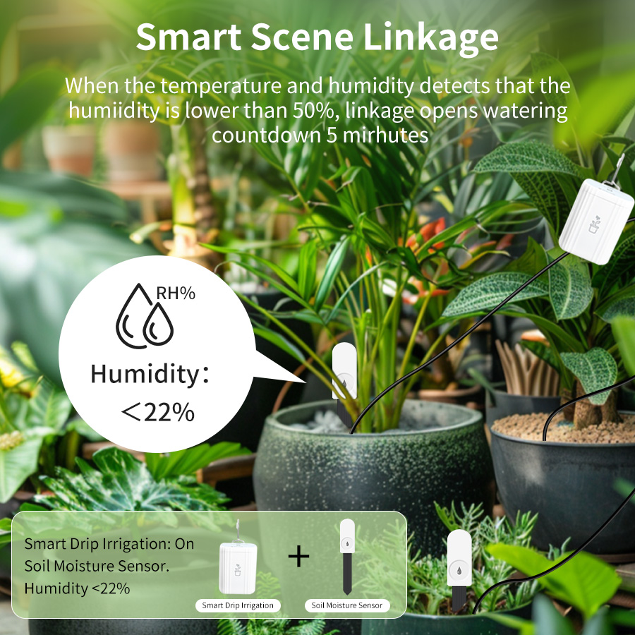 Sensor de Humedad y Temperatur - Smart Home Zigbee 3.0 reseña y precio