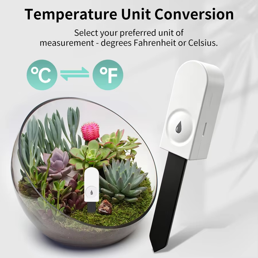 Monitor de Plantas Zigbee 3.0, - Smart Home Zigbee 3.0 reseña y precio